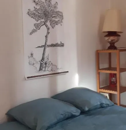 D'artiste Avec 2 Et 2 Salles De Bain Privees Аркашон