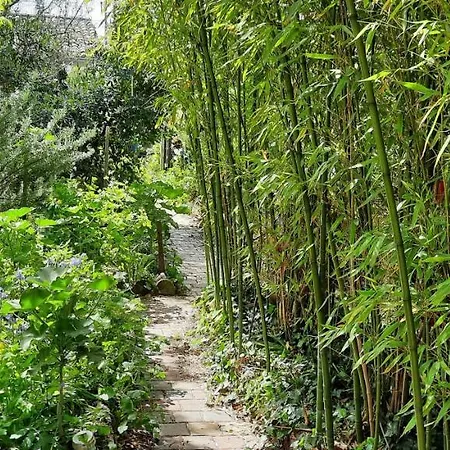 D'artiste Comprenant 2 Avec Salles De Bain Privatives Semesterbostad Arcachon